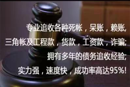 无赔偿能力诉讼困境应对策略